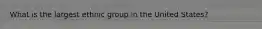 What is the largest ethnic group in the United States?