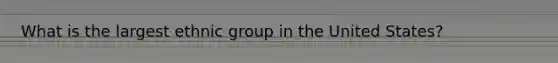 What is the largest ethnic group in the United States?