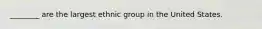 ________ are the largest ethnic group in the United States.