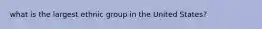what is the largest ethnic group in the United States?