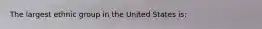 The largest ethnic group in the United States is: