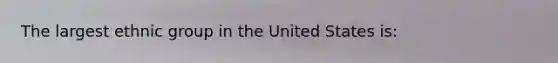 The largest ethnic group in the United States is: