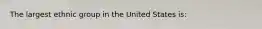 The largest ethnic group in the United States is:​