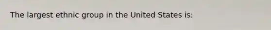 The largest ethnic group in the United States is:​