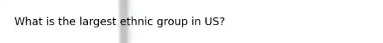 What is the largest ethnic group in US?