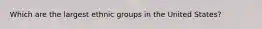 Which are the largest ethnic groups in the United States?