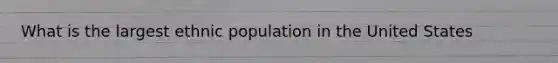 What is the largest ethnic population in the United States