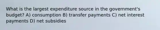 What is the largest expenditure source in the government's budget? A) consumption B) transfer payments C) net interest payments D) net subsidies