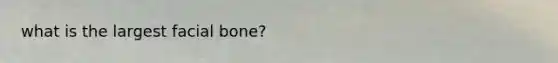 what is the largest facial bone?