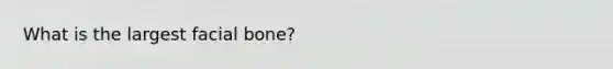 What is the largest facial bone?