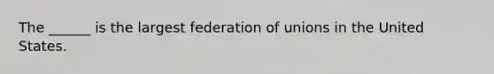 The ______ is the largest federation of unions in the United States.