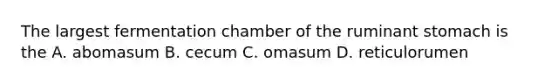 The largest fermentation chamber of the ruminant stomach is the A. abomasum B. cecum C. omasum D. reticulorumen