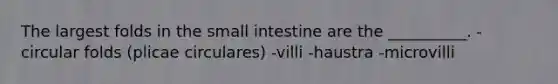The largest folds in the small intestine are the __________. -circular folds (plicae circulares) -villi -haustra -microvilli