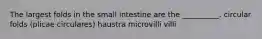 The largest folds in the small intestine are the __________. circular folds (plicae circulares) haustra microvilli villi