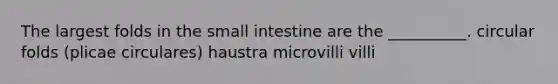 The largest folds in <a href='https://www.questionai.com/knowledge/kt623fh5xn-the-small-intestine' class='anchor-knowledge'>the small intestine</a> are the __________. circular folds (plicae circulares) haustra microvilli villi