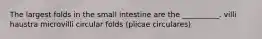 The largest folds in the small intestine are the __________. villi haustra microvilli circular folds (plicae circulares)
