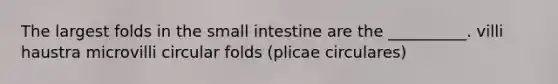 The largest folds in the small intestine are the __________. villi haustra microvilli circular folds (plicae circulares)