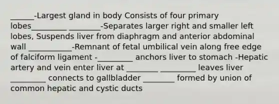 ______-Largest gland in body Consists of four primary lobes_________ ________-Separates larger right and smaller left lobes, Suspends liver from diaphragm and anterior abdominal wall ___________-Remnant of fetal umbilical vein along free edge of falciform ligament -_________ anchors liver to stomach -Hepatic artery and vein enter liver at ________ _________ leaves liver _________ connects to gallbladder ________ formed by union of common hepatic and cystic ducts