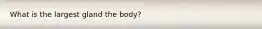 What is the largest gland the body?