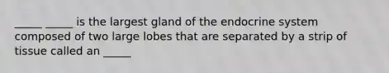 _____ _____ is the largest gland of the <a href='https://www.questionai.com/knowledge/k97r8ZsIZg-endocrine-system' class='anchor-knowledge'>endocrine system</a> composed of two large lobes that are separated by a strip of tissue called an _____