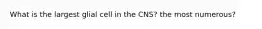 What is the largest glial cell in the CNS? the most numerous?