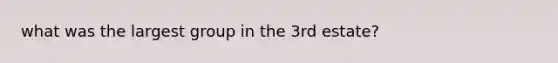 what was the largest group in the 3rd estate?