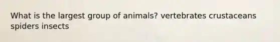 What is the largest group of animals? vertebrates crustaceans spiders insects