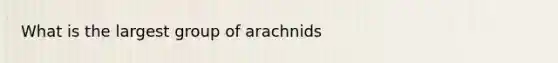 What is the largest group of arachnids