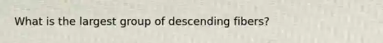 What is the largest group of descending fibers?