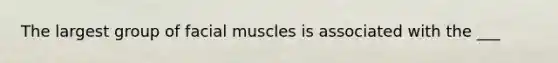 The largest group of facial muscles is associated with the ___