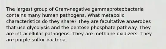 The largest group of Gram-negative gammaproteobacteria contains many human pathogens. What metabolic characteristics do they share? They are facultative anaerobes that use glycolysis and the pentose phosphate pathway. They are intracellular pathogens. They are methane oxidizers. They are purple sulfur bacteria.