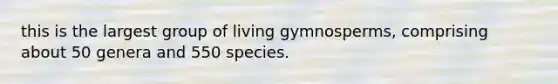 this is the largest group of living gymnosperms, comprising about 50 genera and 550 species.