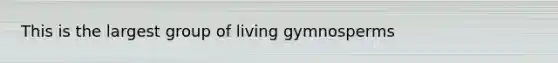 This is the largest group of living gymnosperms