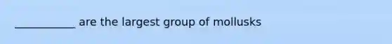 ___________ are the largest group of mollusks