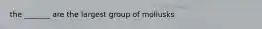 the _______ are the largest group of mollusks