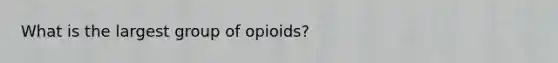 What is the largest group of opioids?