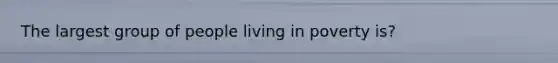 The largest group of people living in poverty is?