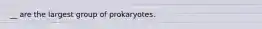 __ are the largest group of prokaryotes.