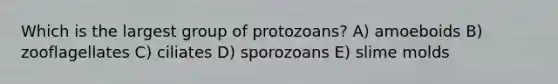 Which is the largest group of protozoans? A) amoeboids B) zooflagellates C) ciliates D) sporozoans E) <a href='https://www.questionai.com/knowledge/kHvmUbfxIK-slime-molds' class='anchor-knowledge'>slime molds</a>