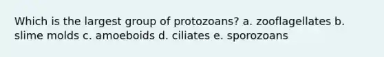 Which is the largest group of protozoans? a. zooflagellates b. slime molds c. amoeboids d. ciliates e. sporozoans