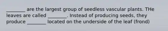 ________ are the largest group of seedless vascular plants. THe leaves are called ________. Instead of producing seeds, they produce ________ located on the underside of the leaf (frond)