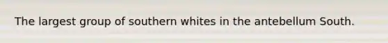 The largest group of southern whites in the antebellum South.