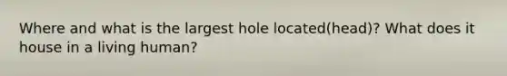 Where and what is the largest hole located(head)? What does it house in a living human?