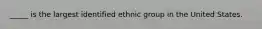 _____ is the largest identified ethnic group in the United States.