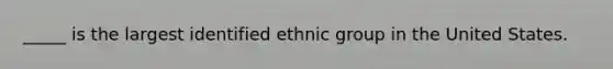 _____ is the largest identified ethnic group in the United States.