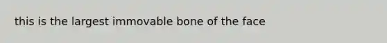 this is the largest immovable bone of the face