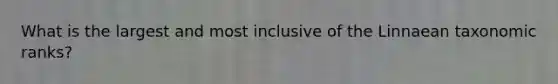 What is the largest and most inclusive of the Linnaean taxonomic ranks?