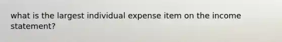 what is the largest individual expense item on the income statement?