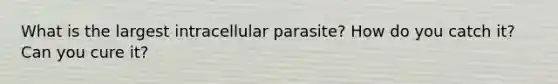 What is the largest intracellular parasite? How do you catch it? Can you cure it?