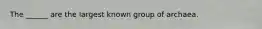 The ______ are the largest known group of archaea.